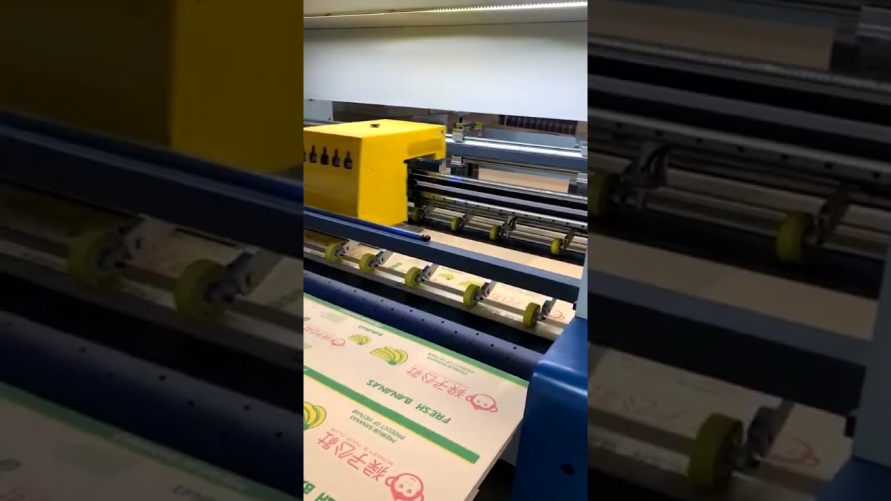 BISCAÍNO - Impressora Digital Multi Pass para Chapas de Corrugado BOYE DIGITAL