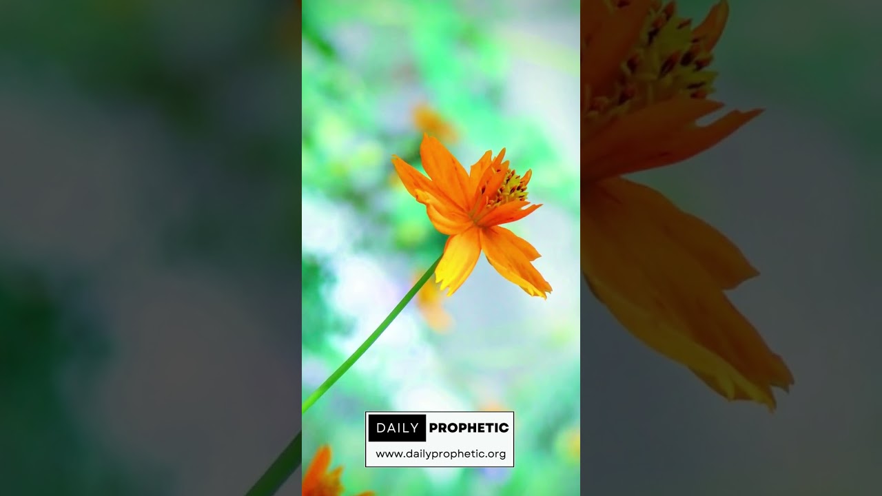 🔥 Beauty for Ashes &ndash; Celebration Is Coming #propheticword #prophecy #propheticencouragement