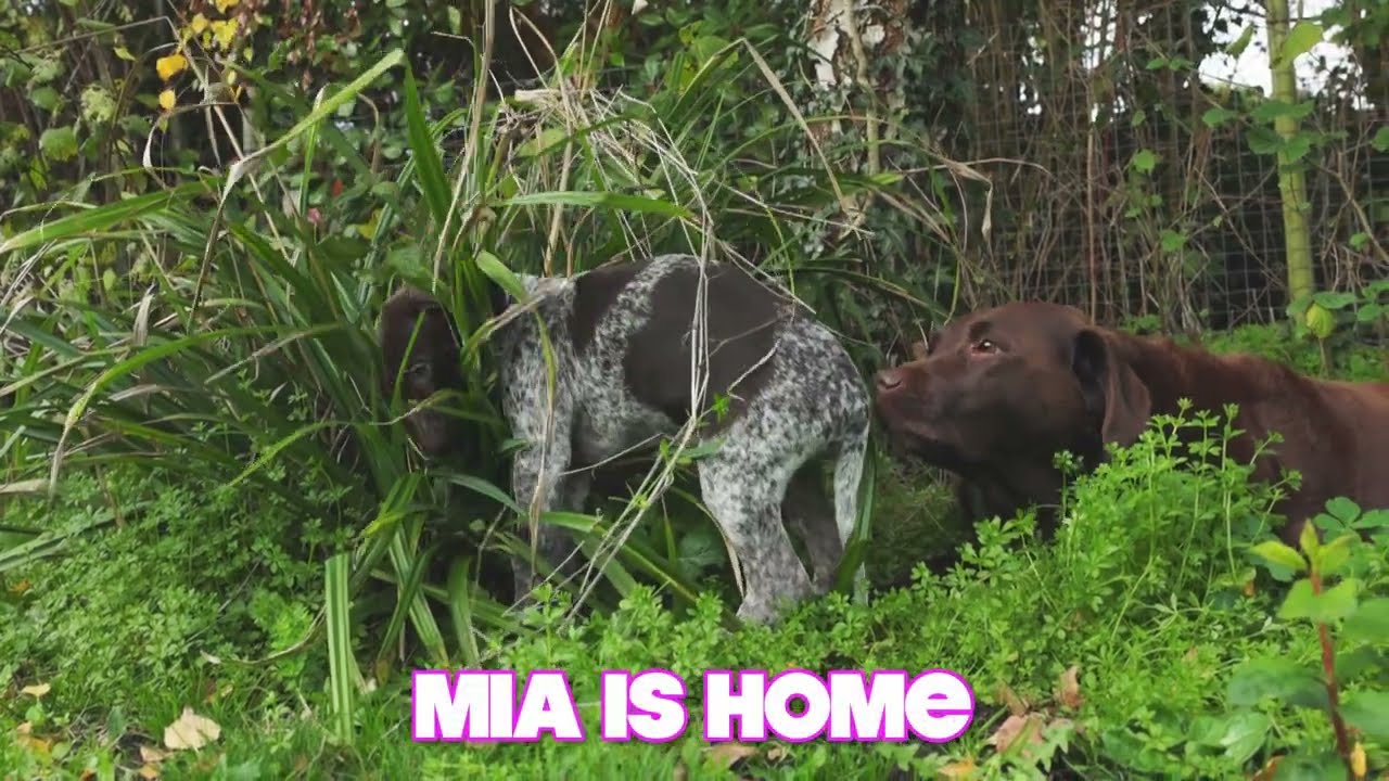 Mia Is Home