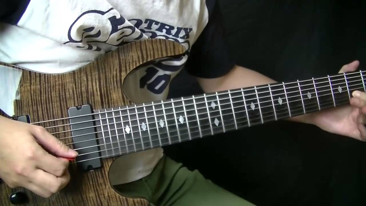 Animals as Leaders 