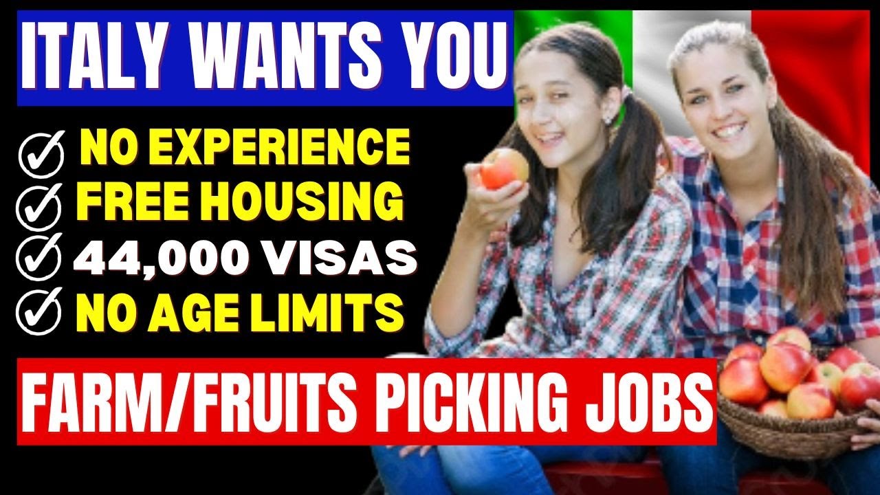 Come To Italy For Free In 2024: Farm Worker/Fruit Picking Jobs in Italy 2024: Italy Work Permit Free