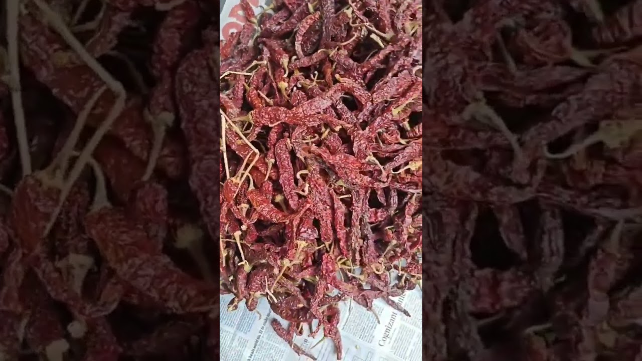 #thane #masala #masalamarket #thanemarket #trending #new #malvanimasala #spices #wholesalemarket #1M