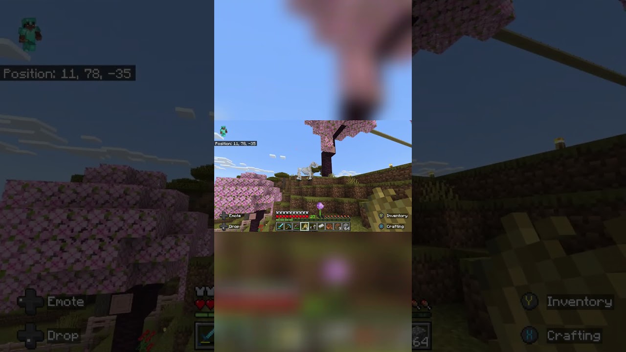 Can You REALLY Feed a Skeleton Horse in Minecraft?
