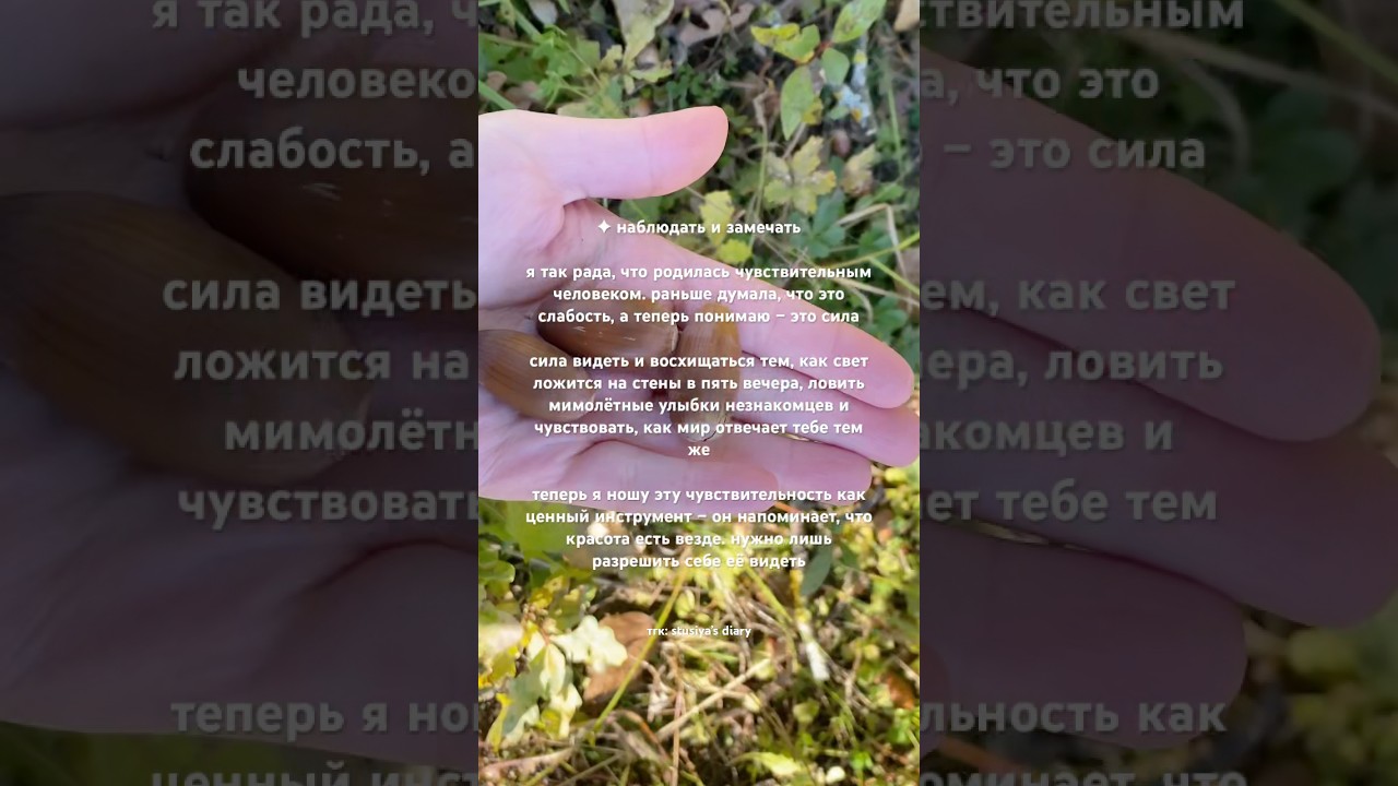 тгк: stusiya&rsquo;s diary 📷| #romanticizinglife #slowliving #quietlife #fallvibes #чувствительность #рек