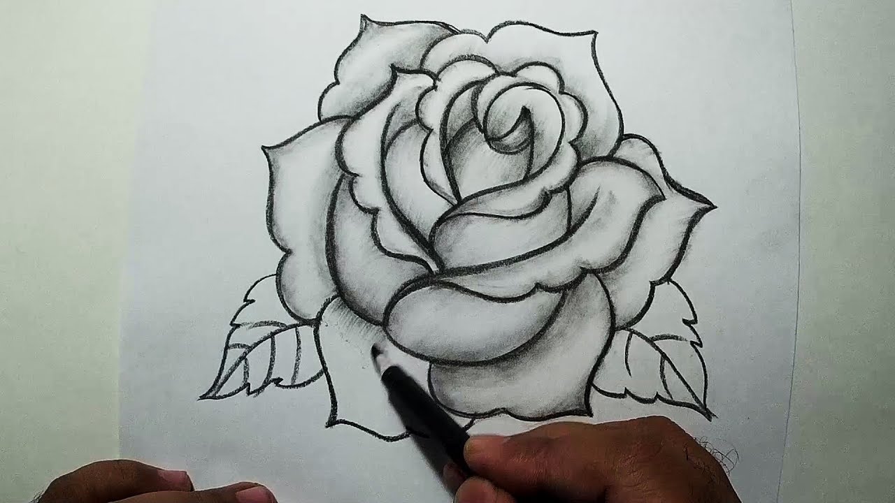 How to Draw A Rose || Easy Pencil Drawing
