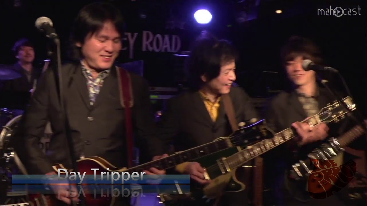Day Tripper/The Parrots - Beatles Tribute /2021