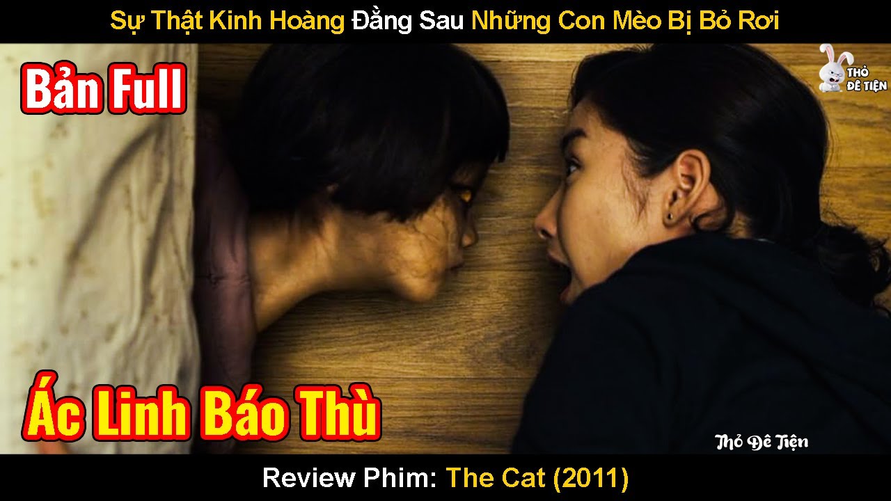Sự Thật Kinh Hoàng Đằng Sau Những Con Mèo Bị Bỏ Rơi | Review Phim: The Cat | Mắt Mèo Hoang Dại