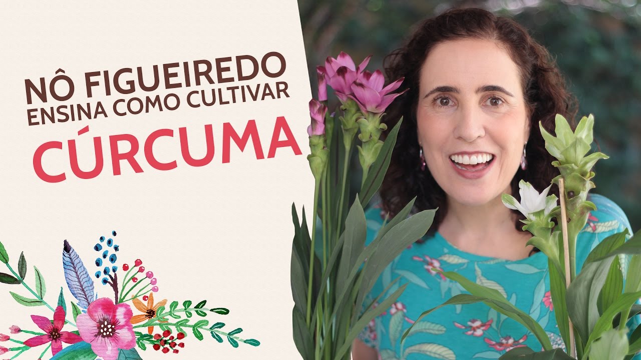 Nô Figueiredo Ensina Como Cultivar Cúrcuma Ornamental