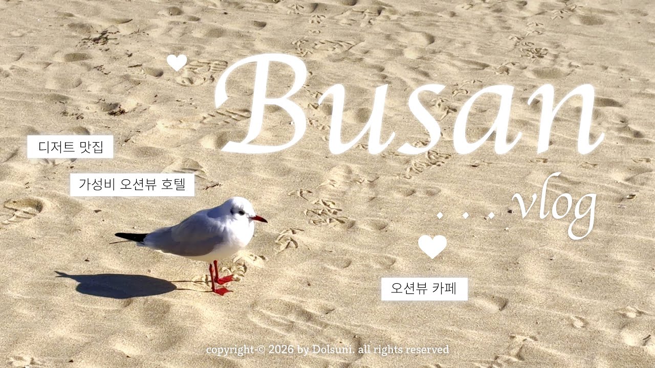 [VLOG] 1박 2일 부산 | 부산 맛집, 해운대, 국밥, 가성비 호텔 추천, 호텔 일루아, 부산 카페 , 부산 위키드 뮤지컬 , 드림씨어터, 아이폰 17 브이로그