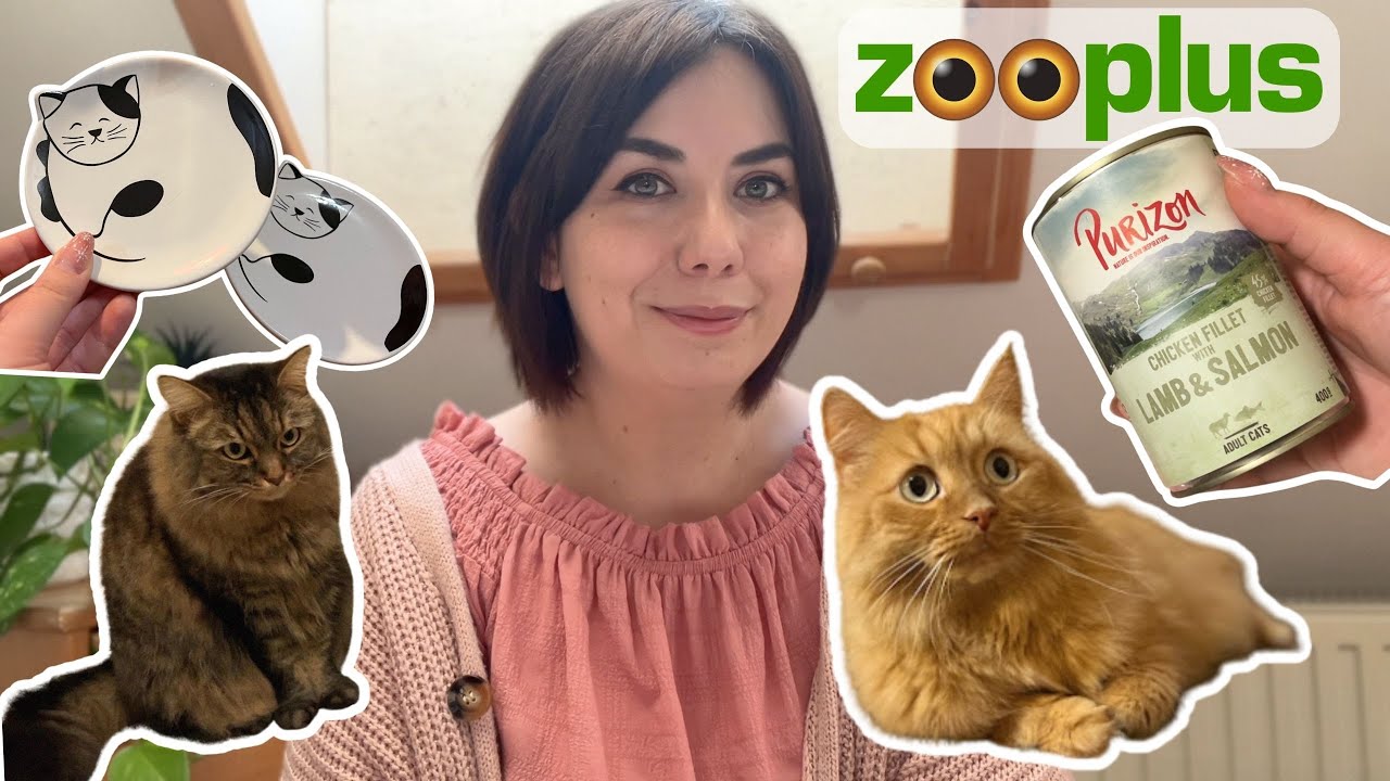 Ezeket vettem a macskáknak - Zooplus 2024 Január - új itatókút, tápok és a legjobb cicaalom 🐱❤️