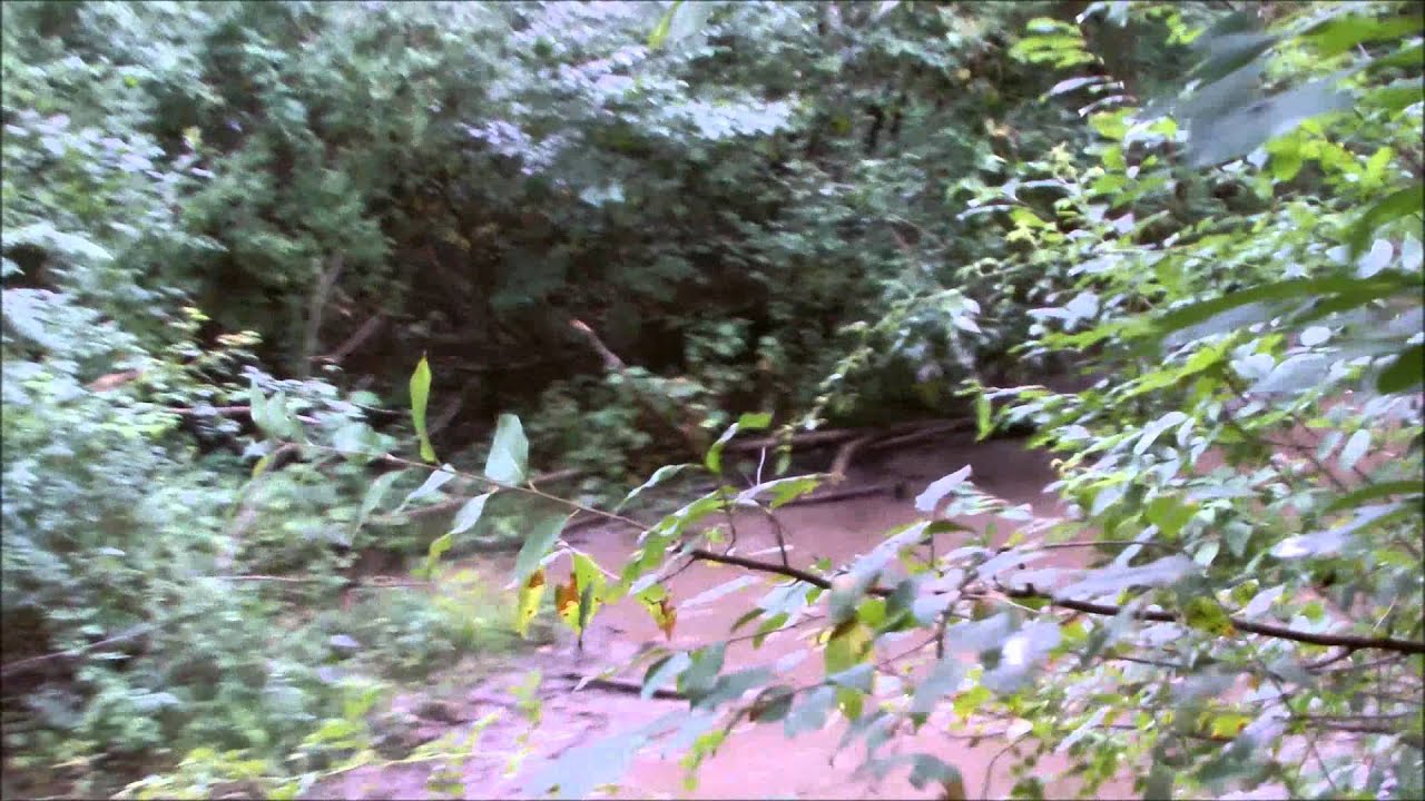 F150 Raptor - Western New York Offroad Club Picnic at Whispering Pines