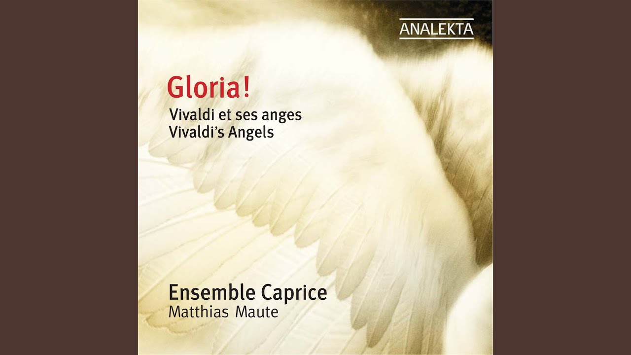 Concerto For 2 Recorders, Strings And Continuo In D Minor, Rv 535 : II. Allegro