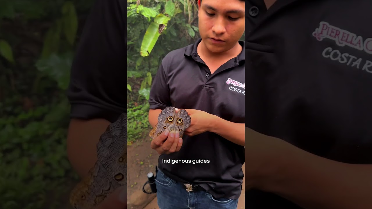 How a butterfly sanctuary became an ECO-TOURISM success w/ @benkielesinski  | IMAGINE5