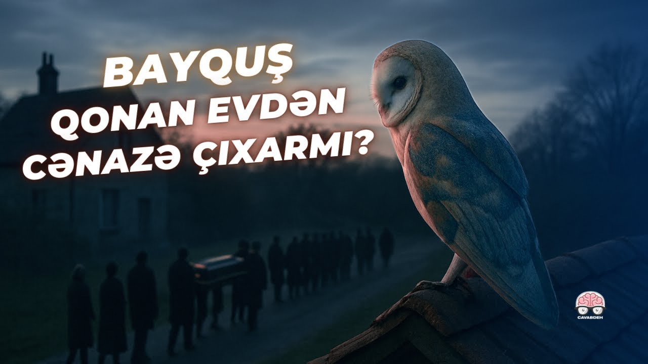 Bayquşlar haqqında bilmədiyiniz 11 maraqlı fakt! #maraqlıfaktlar