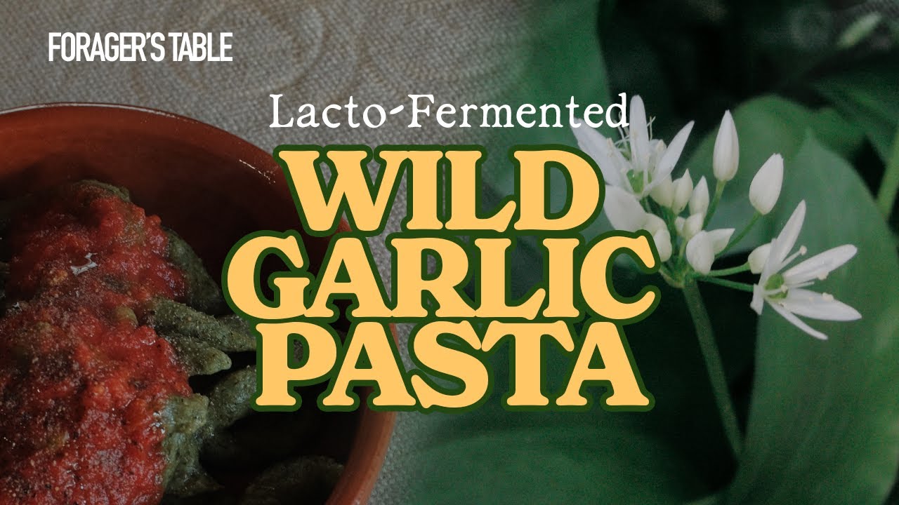 Fermented Wild Garlic Pasta? | UK Wild Edibles