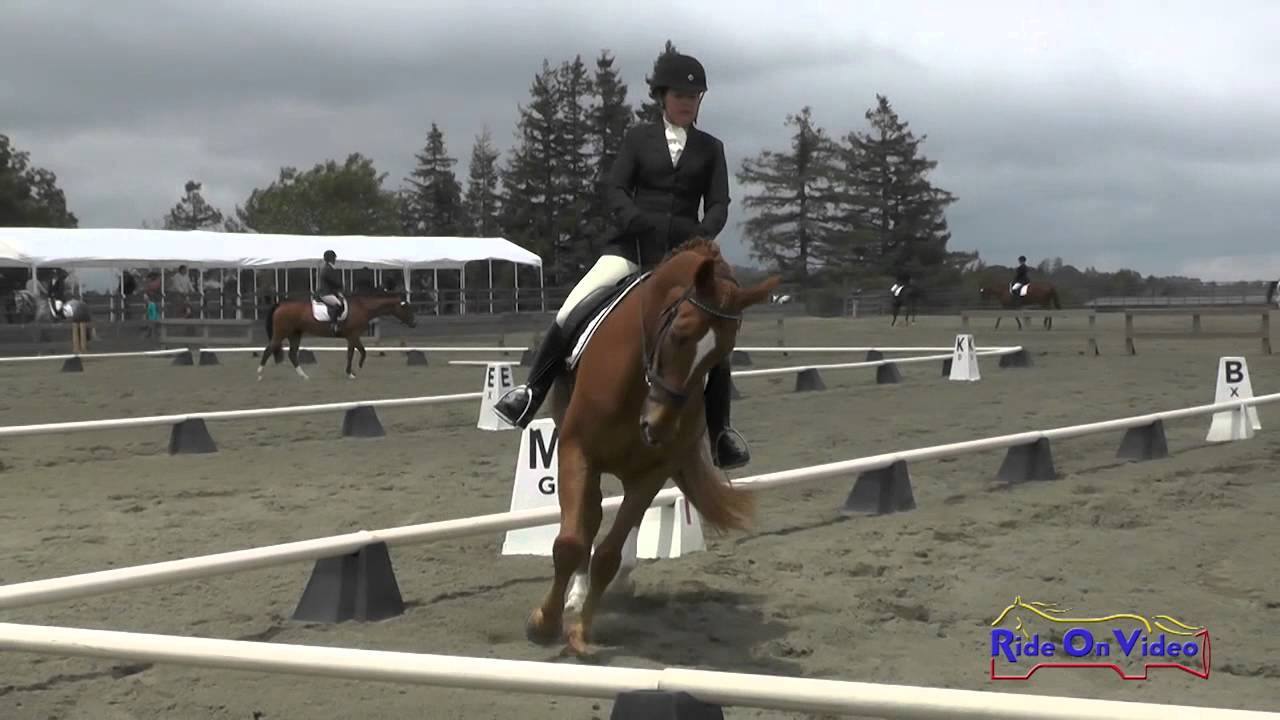 192D Ronnie Thielmann on Olano SR Training Amateur Dressage Woodside May 2015