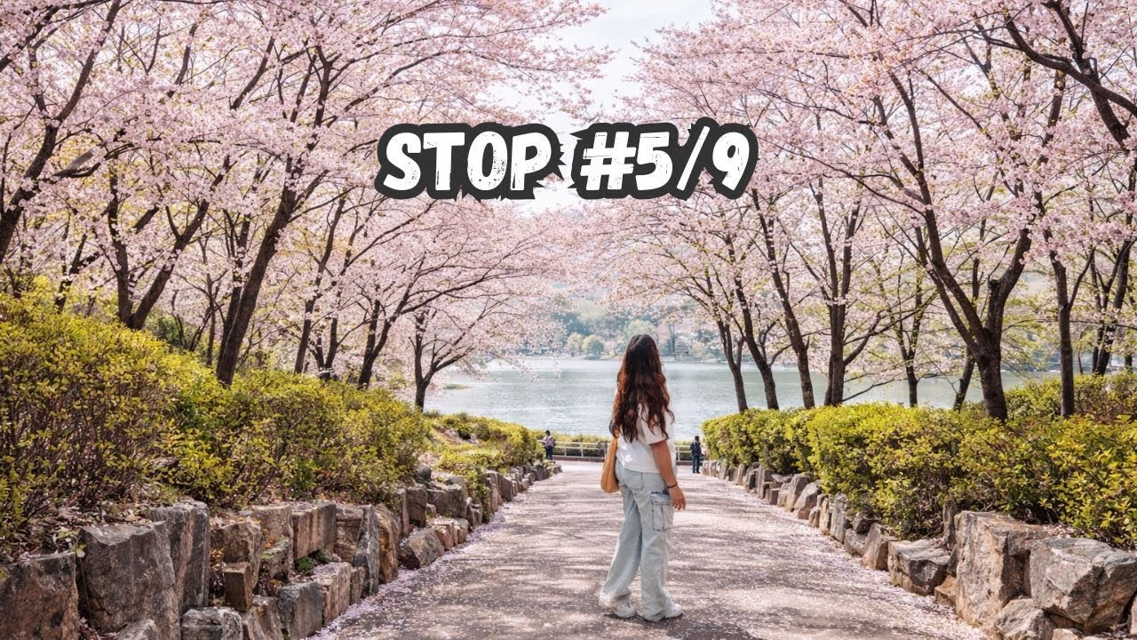 9 Best Spots to Experience the Cherry Blossoms in Seoul