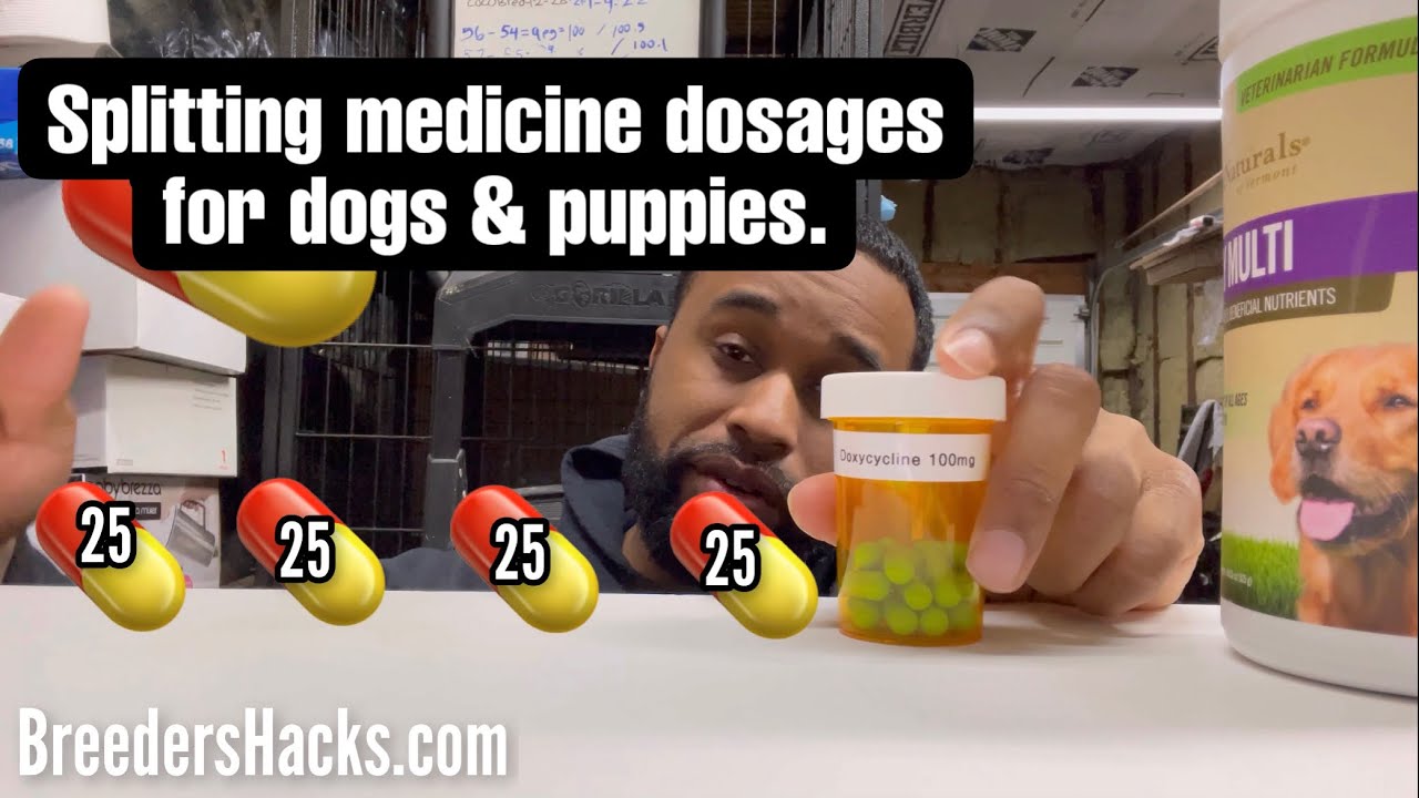 Splitting Antibiotics & medicine dosages for dogs & puppies.