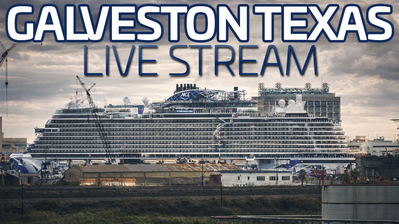 LIVE: Watching Three Cruise Ships Leave Galveston Texas LIVE! (Jan. 24, 2026)