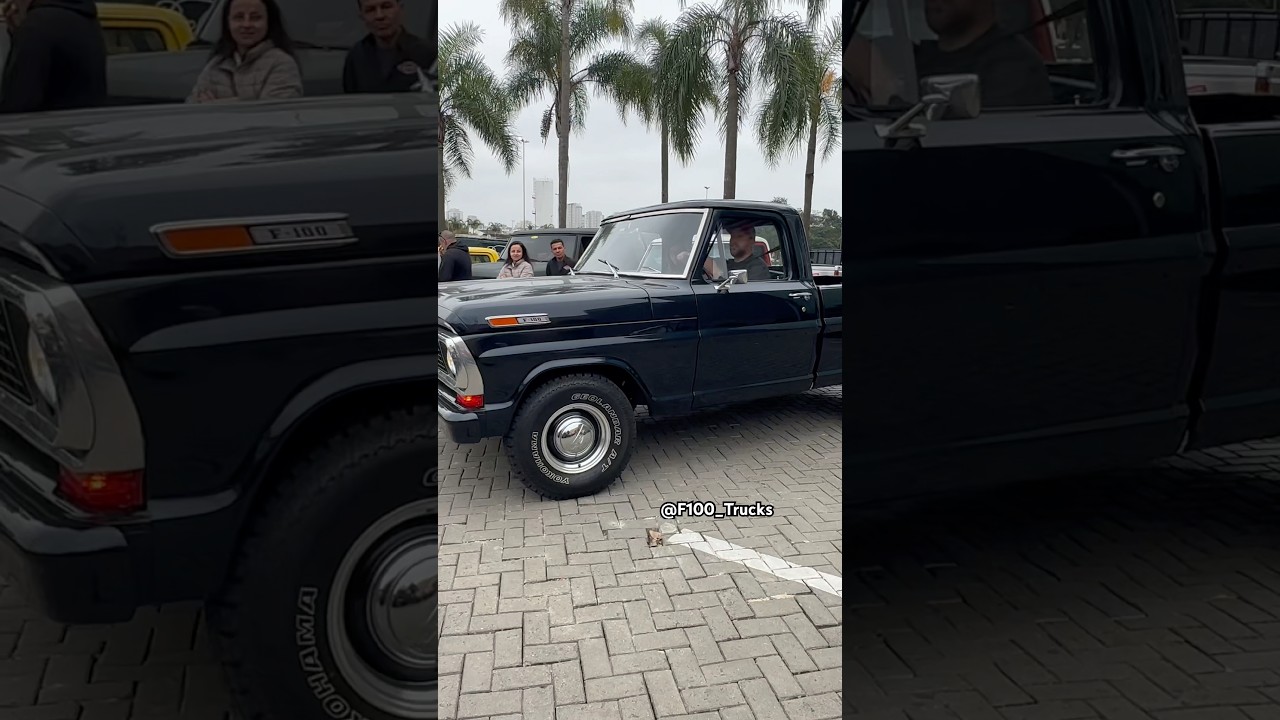Ford F100 v8, metálica, no sol é azul, a noite é preta! #ford #sp #f100 #agro #pickup #carrosantigos
