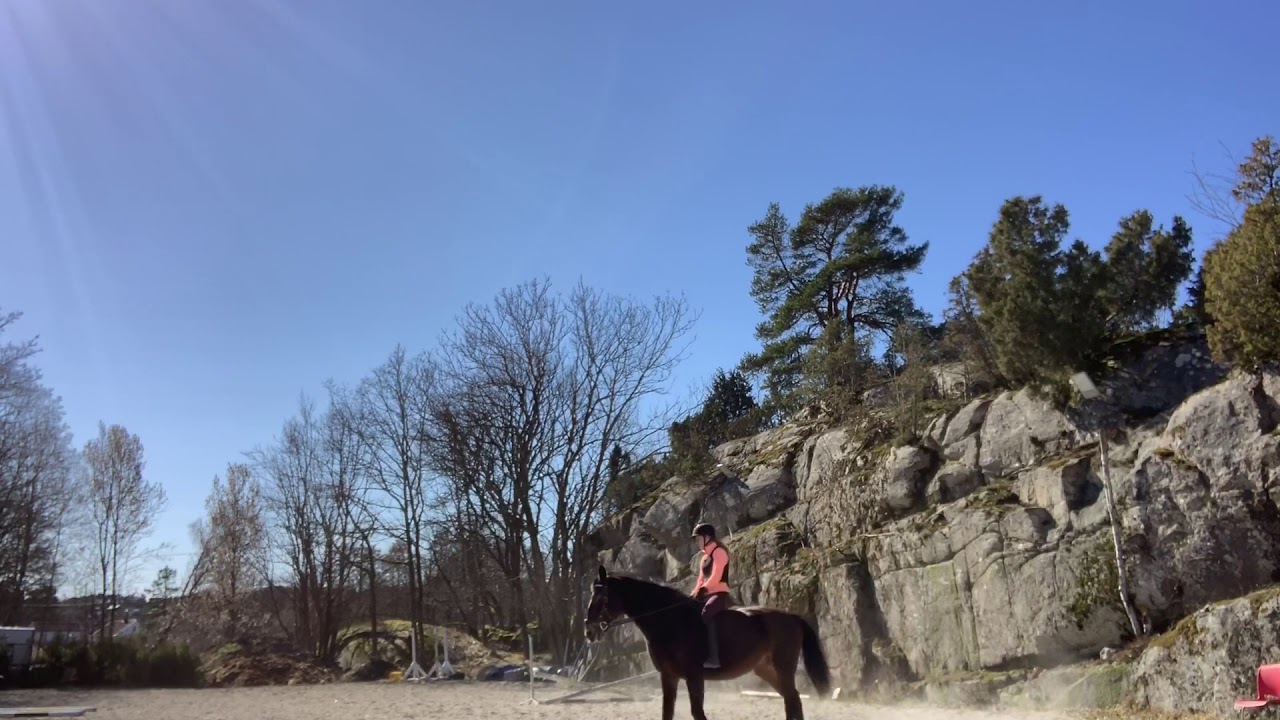 Dressage on perla// Waves❤️🌊
