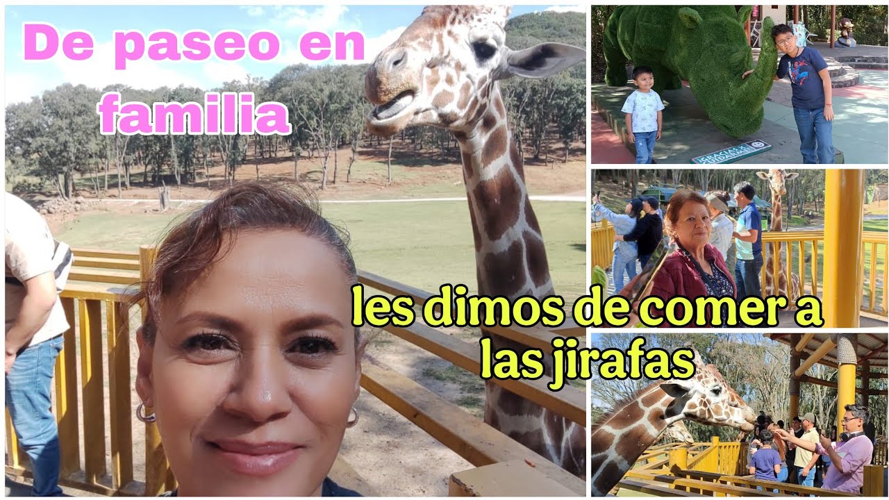 Fuimos de paseo a Bioparque Estrella | un hermoso día en familia #vlog #blogger 