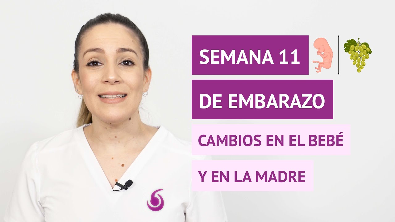 Semana 11 de embarazo: cambios en la madre y en el bebé