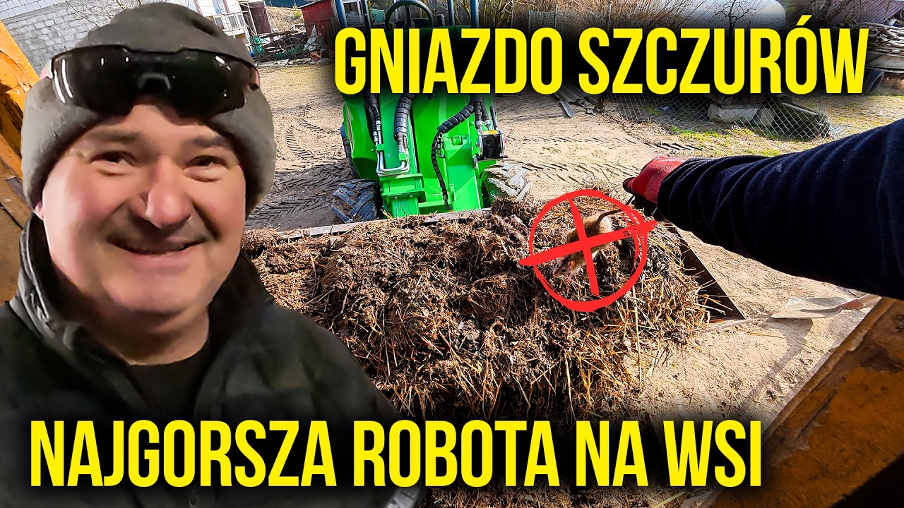 SPRZĄTANIE KURNIKA… I GNIAZDO SZCZURÓW!
