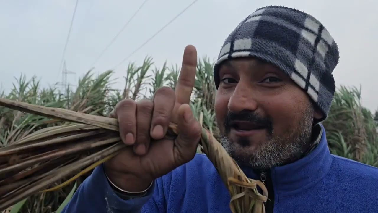 आज किसानों को दोबारा लगा दिया काम पर सुबह से बारिश और तूफान ने पूरे जोर लगा रखे हैं..