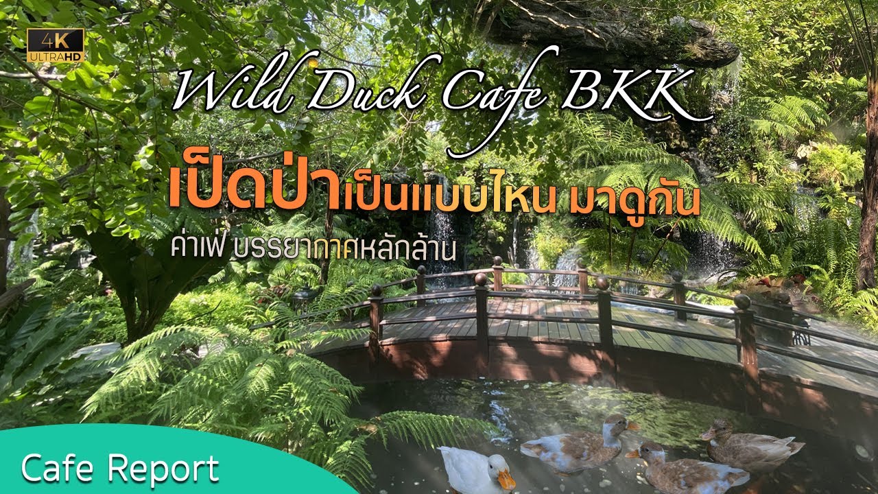 [Cafe Report] must watch wild ducks cafe BKK | duck from wild? | so beautiful cafe