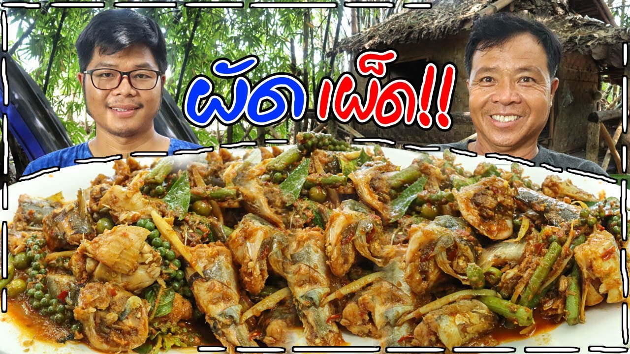 ทำอาหารในป่า ผัดเผ็ดปลากด สูตรง่ายๆ ไม่มีคาว l ครัวป่าไผ่ SAN CE