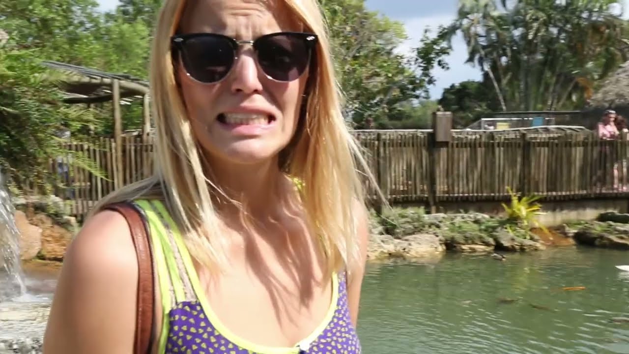Alligator Farm