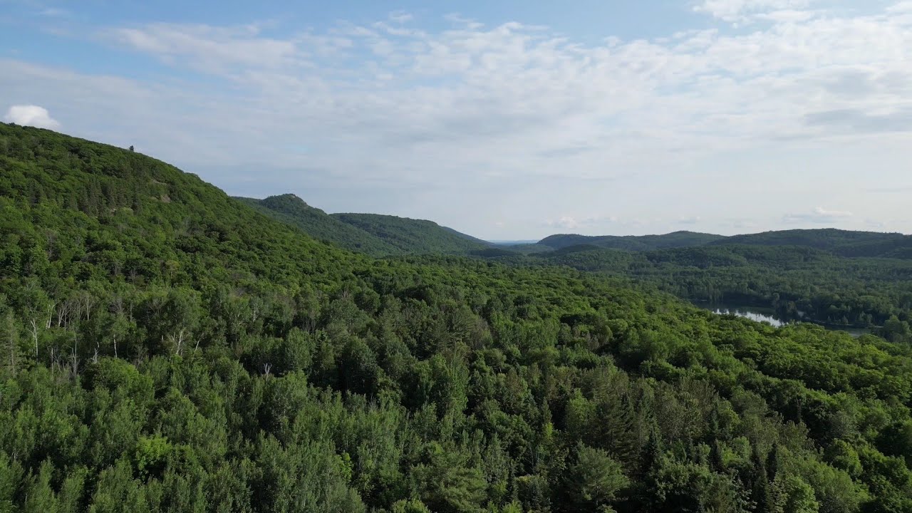 Gorgeous Views Through a Bird's Eye