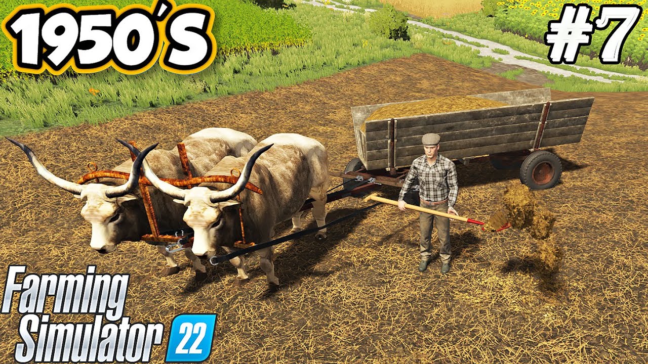 1950'S. Spreading manure with hand forks. Finishing the harvest. Selendra. FS 22. Ep. 7