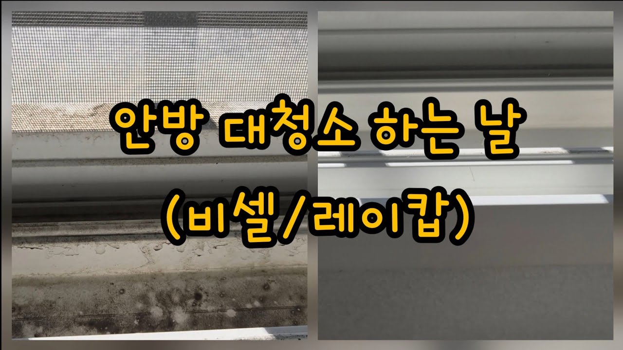 10년 쓴 청소템으로 안방 대청소하는 브이로그 (비셀/레이캅) #벤볼릭 #디퓨저추천 #무료협찬#미니멀리스트 #청소 #대청소 #비셀 #레이캅 #스팀청소기 #침구청소기