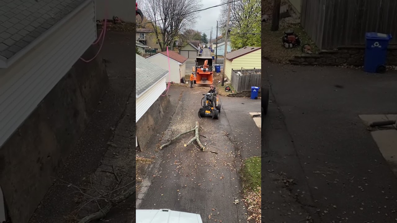 Huge tree, Tight spaces #treeremoval #treework #crane 