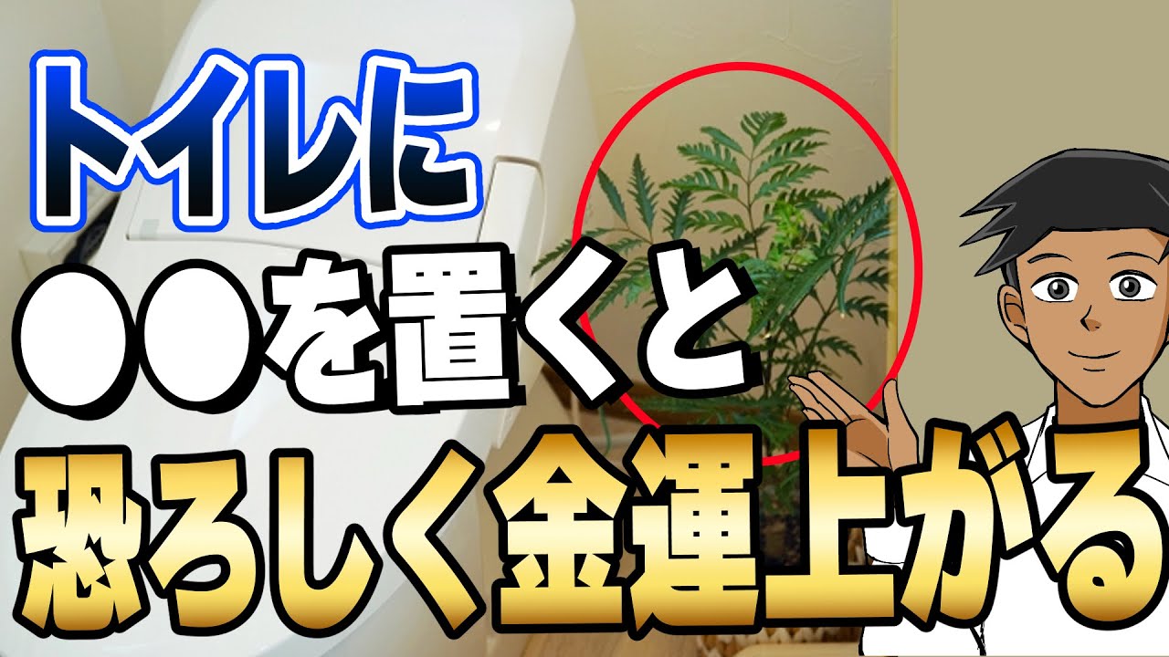 【臨時収入がザクザク】トイレに絶対に置くべき金運最強の観葉植物5選