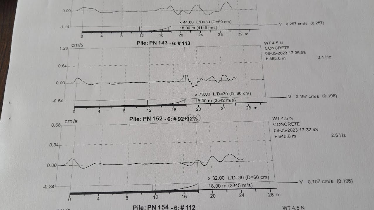 Pile Integrity Test Report