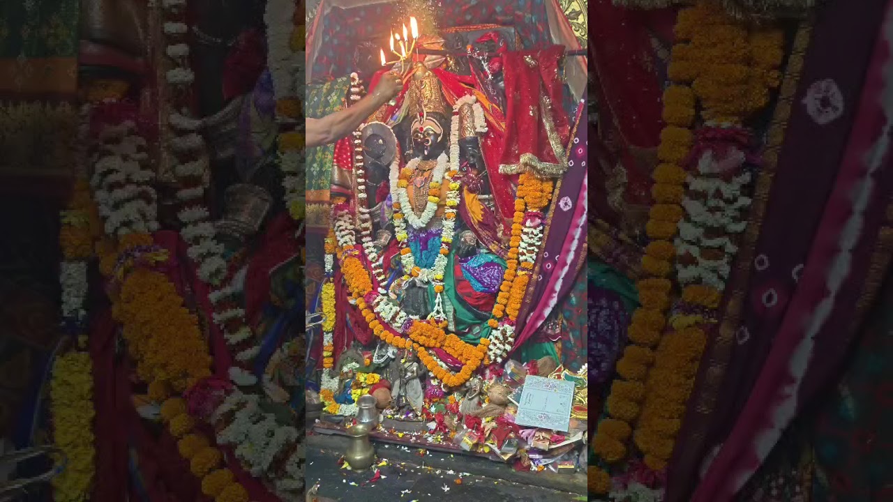 ଜୟମାଆ🙏🏻ସକାଳ ସମୟ ସୁନ୍ଦର 🥰🥰🥰🙏🏻🙏🏻🙏🏻🥰🌺🌺🌺🌺