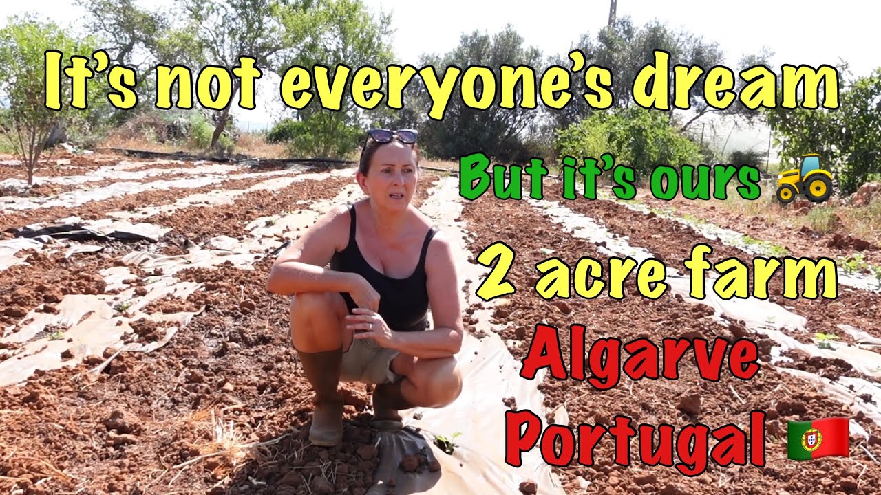 It’s not everyone’s dream but it’s ours 🚜 2 acre farm update Algarve Portugal 🇵🇹🌞