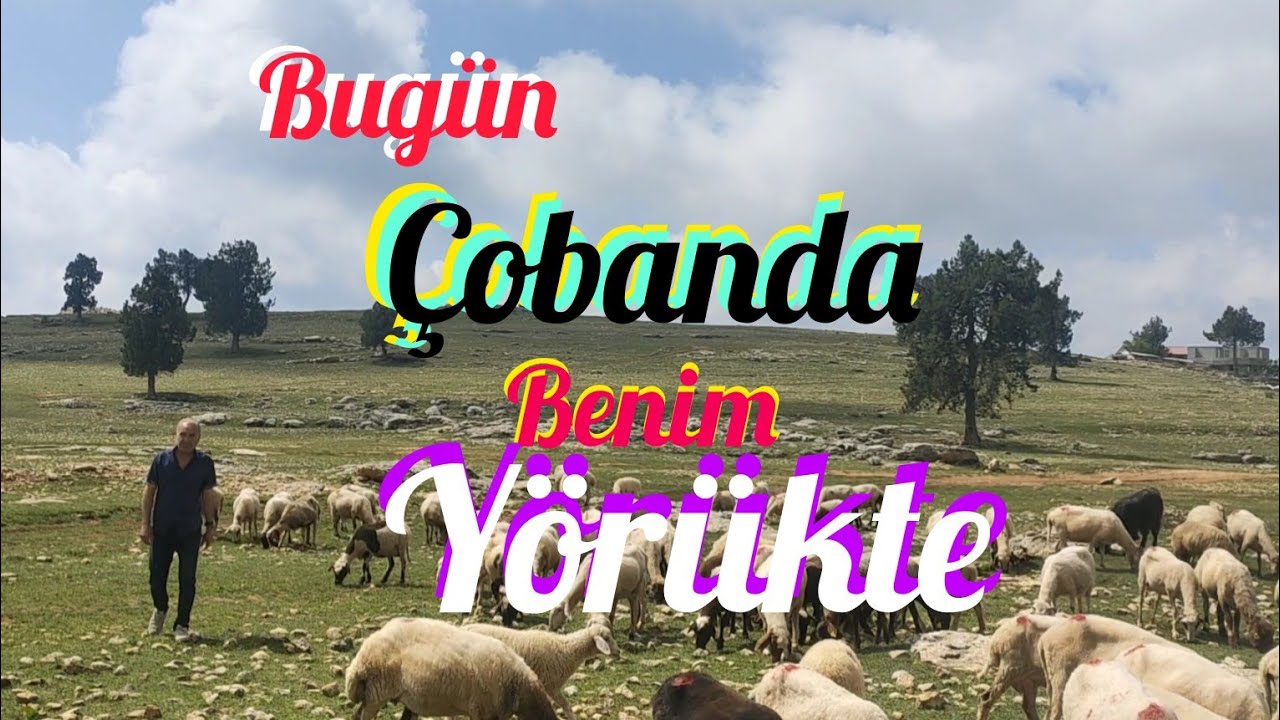 Bugün Yörükte Çobanda Benim-Çamlıyayla Zevzek Tepesi