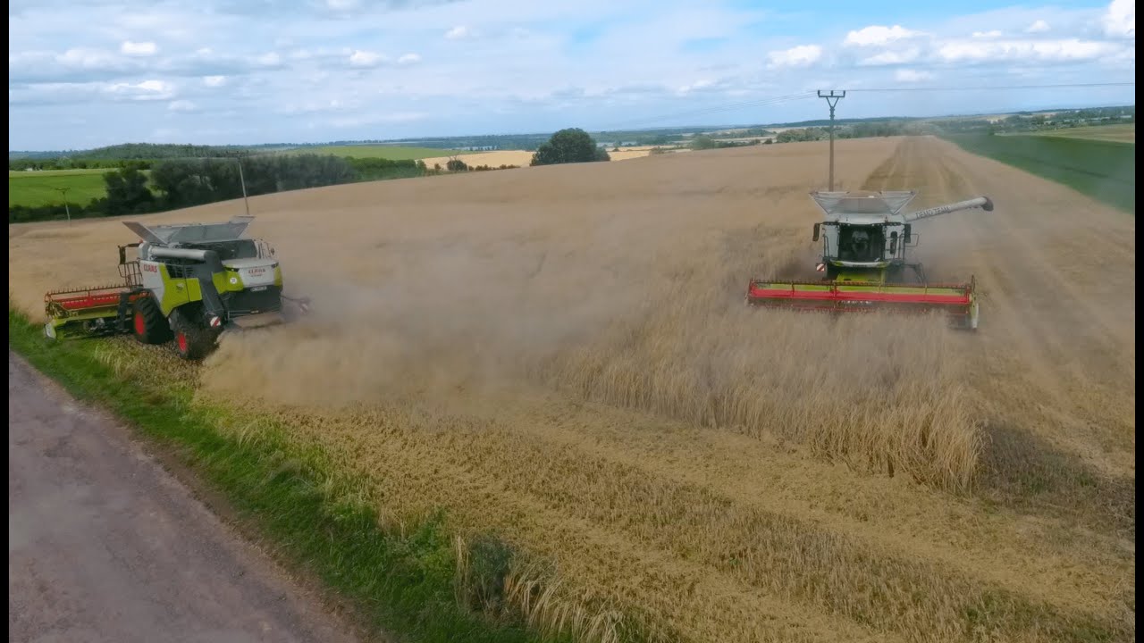 Rye Harvest Úvaly u Valtic CZ Class Trion 740, 650