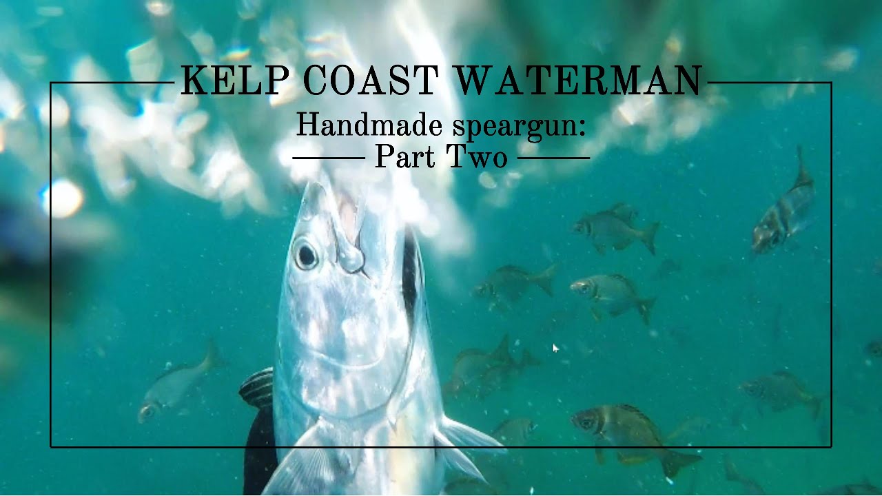 How to build a speargun: Part two (Catch a fish) #ocean #woodworking  #hunting #fyp #diy