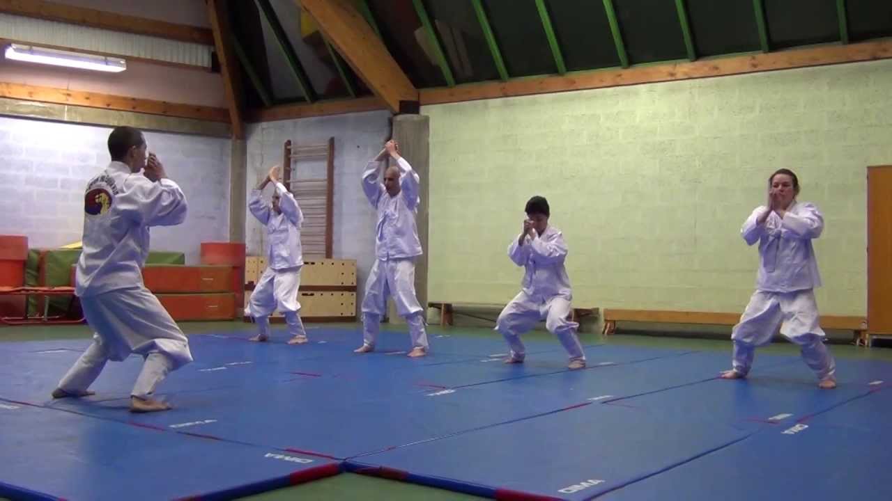 Taekkyon Rillieux France 2013