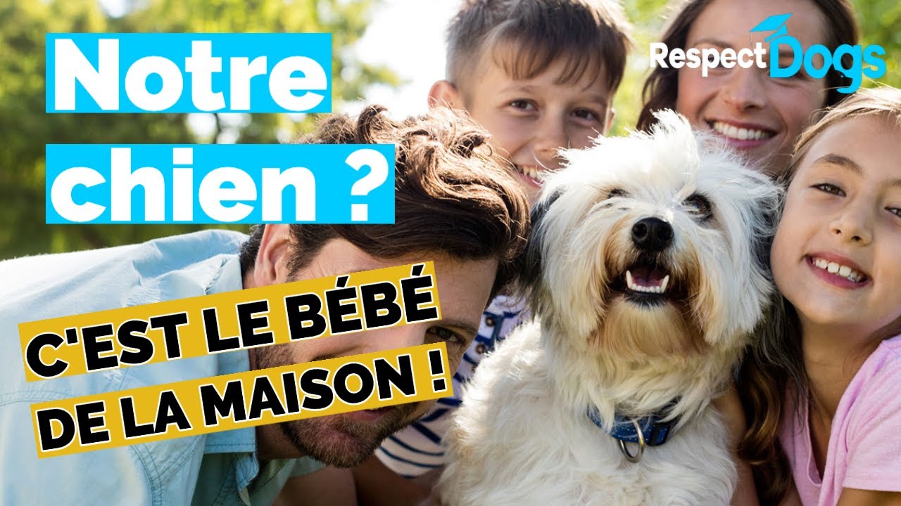 L'anthropomorphisme: Comment trouver l'équilibre ?