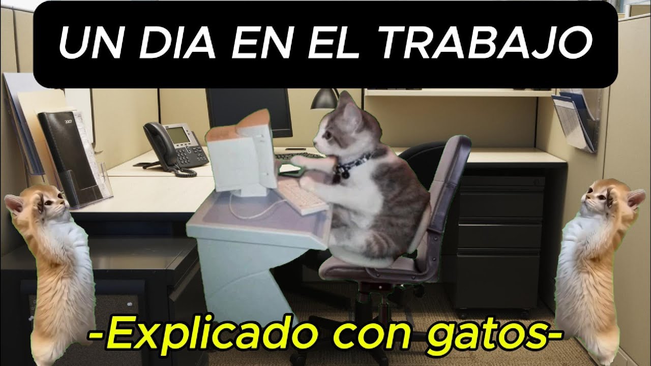 UN DIA EN EL TRABAJO (Explicado con gatos)