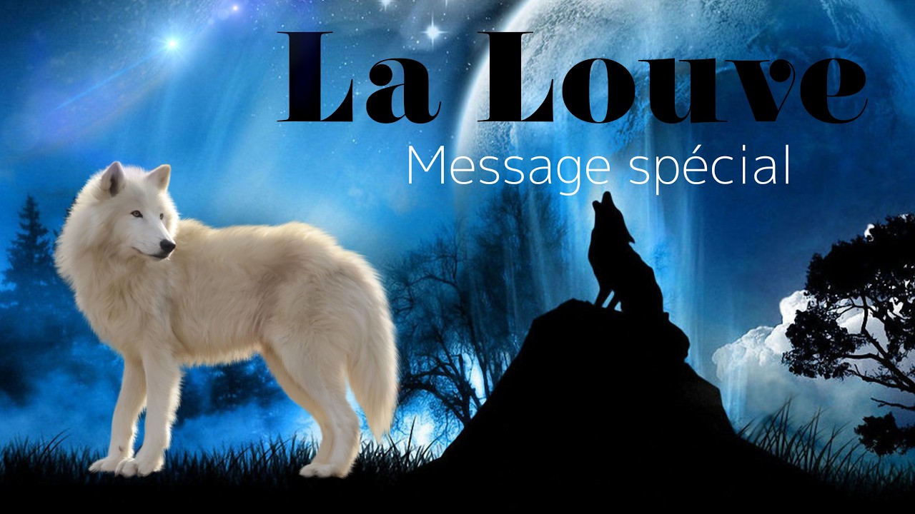 LA LOUVE