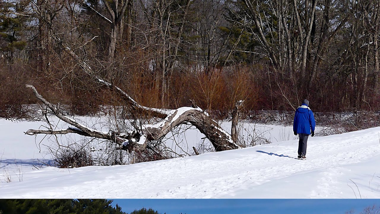 Trail Link Park
