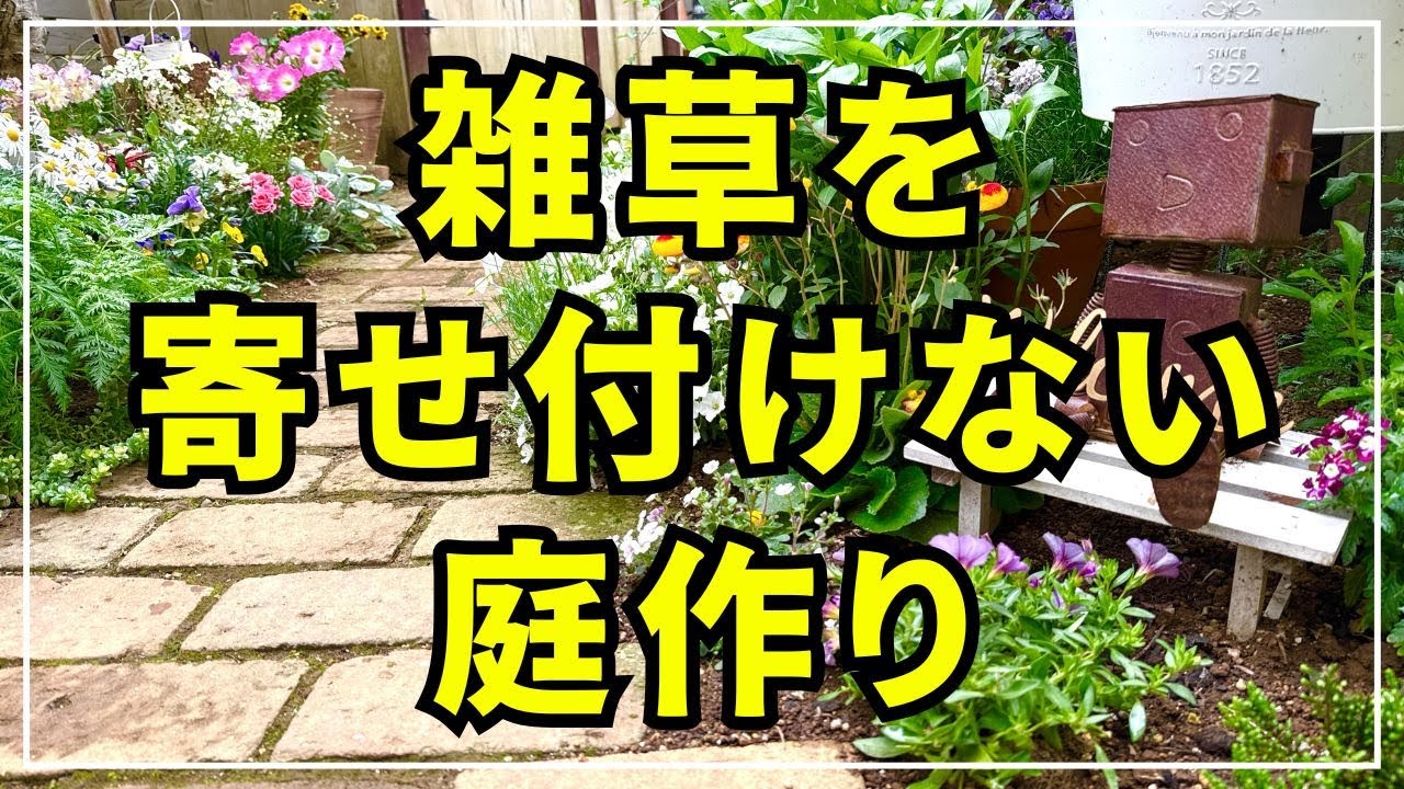 【雑草の生えないガーデンへ】私が実践している対策をまとめてみました。