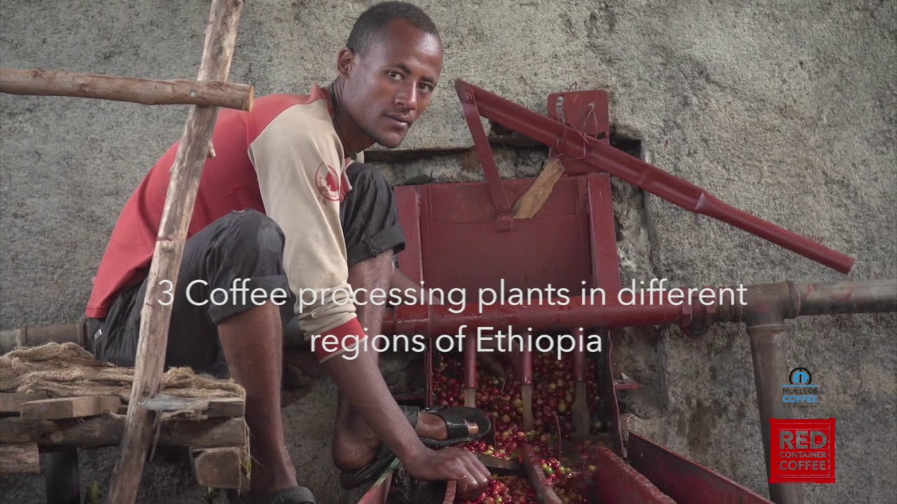 Mullege Coffee mills